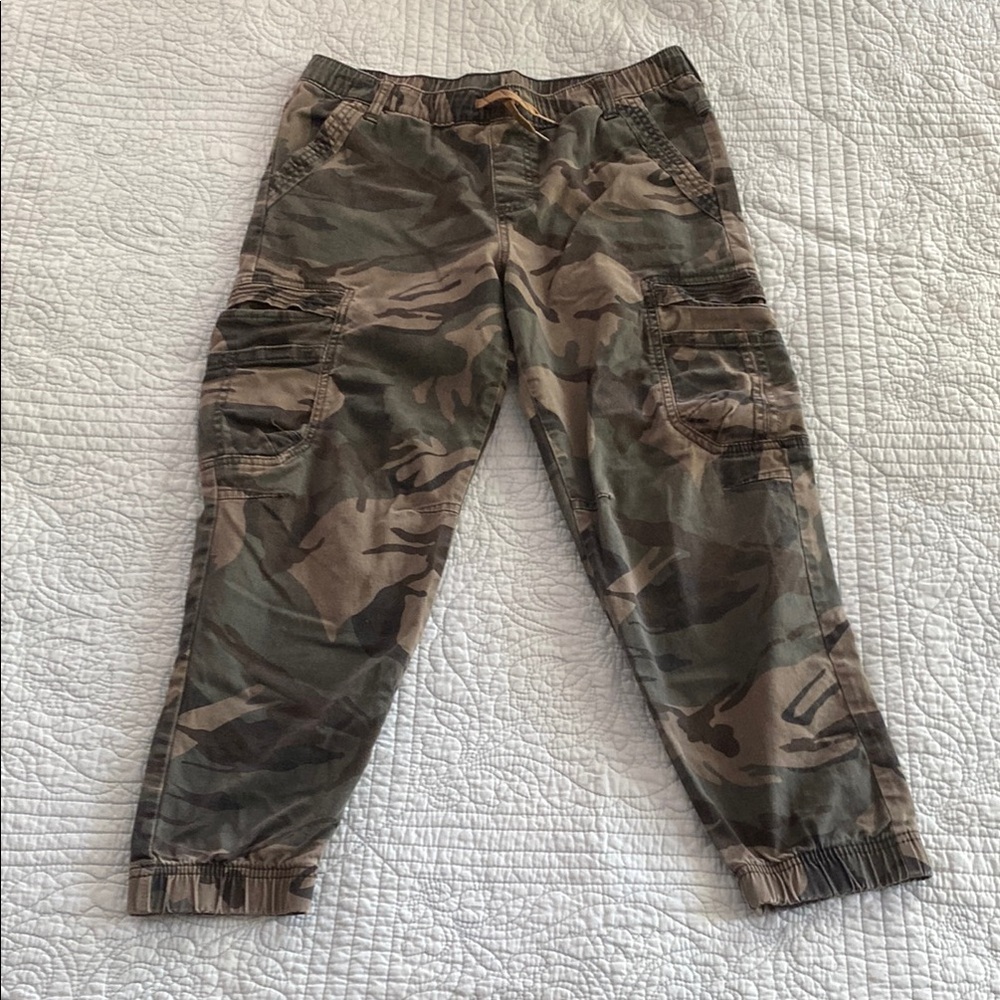 Wrangler Green and Brown Casual Cargo Pants